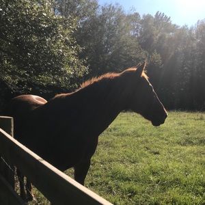 Meet your Posher, Lori